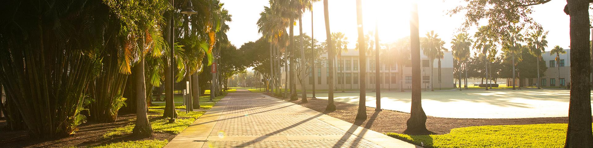 FAU Jupiter campus sidewalk 